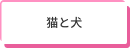 猫と犬